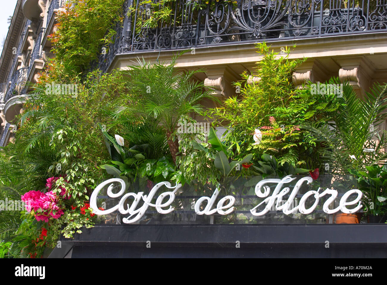 Cafe de Flore sign Paris France Stock Photo