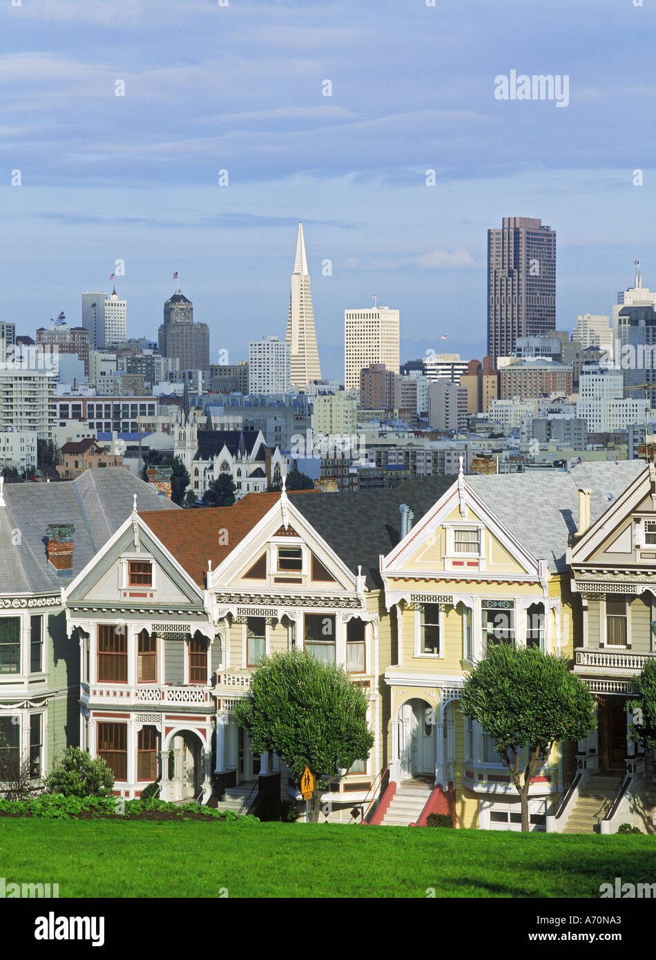 Victorian Houses on Steiner Street in San Francisco with skyline Stock