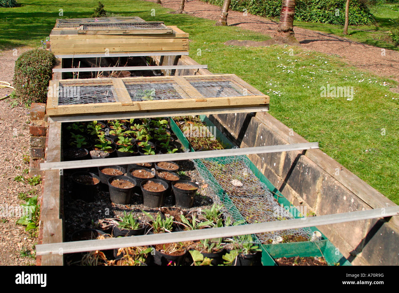 Cold Frames containing young plants at Highdown Gardens, near Worthing, West Sussex, England, UK Stock Photo
