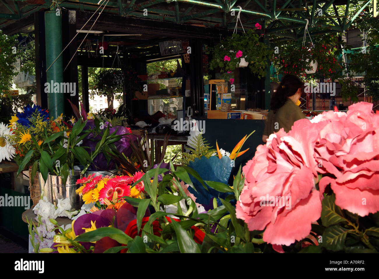 inside a shop flowers in the street in Montreal Quebec Stock Photo Alamy