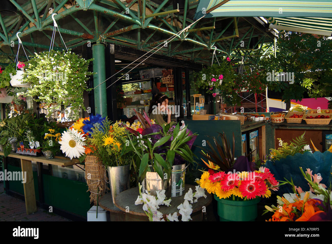 inside a shop flowers in the street in Montreal Quebec Stock Photo Alamy