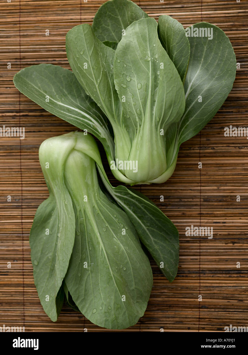 Pak choi leaves on bamboo background - high end Hasselblad 61mb digital image Stock Photo