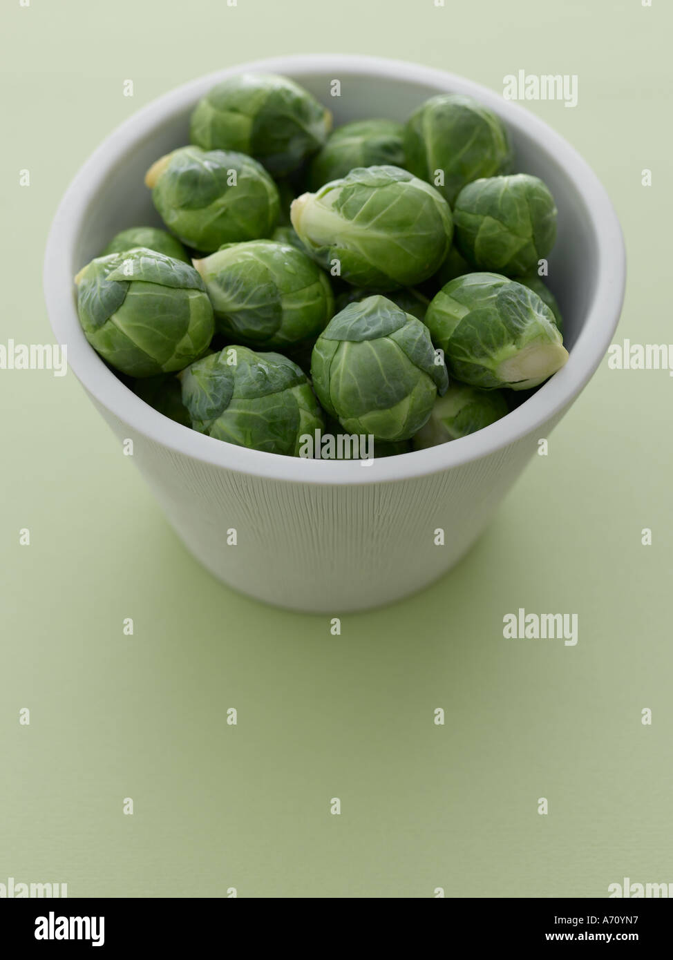 Brussels sprouts in white bowl on pale green background - high end Hasselblad 61mb digital image Stock Photo