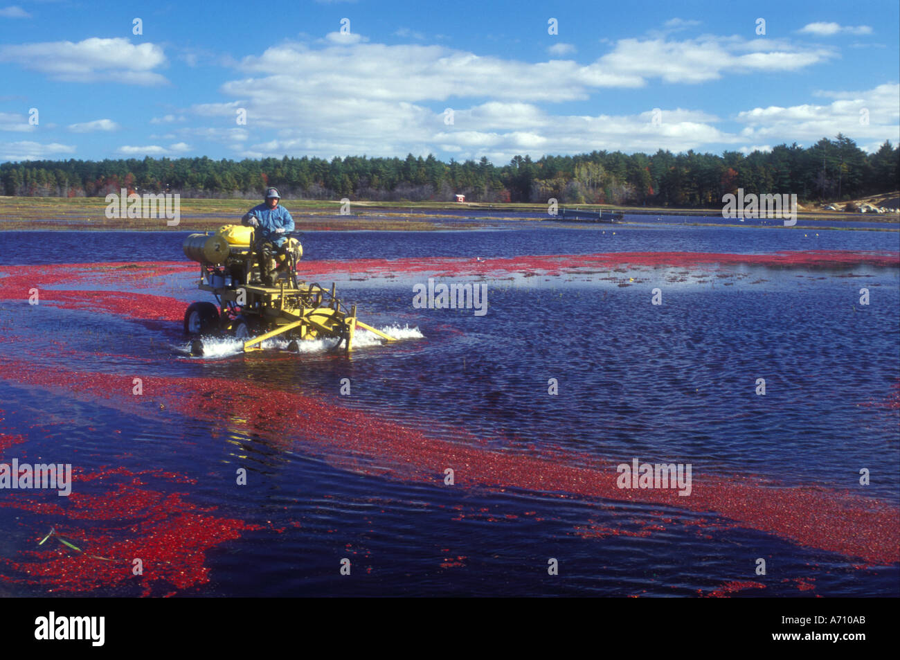 AJ0069, MA, South Carver, Massachusetts Stock Photo Alamy