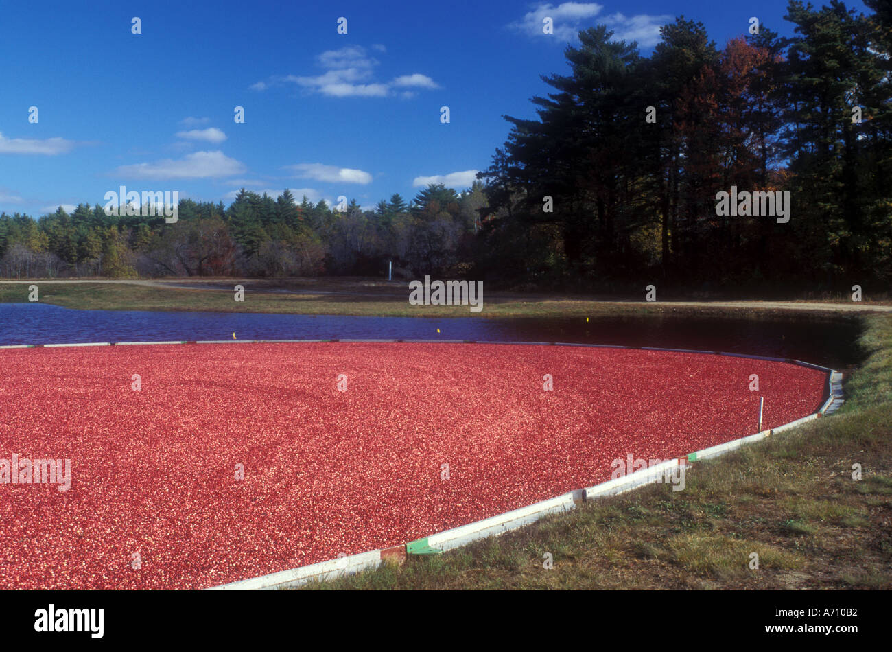 South carver massachusetts hires stock photography and images Alamy