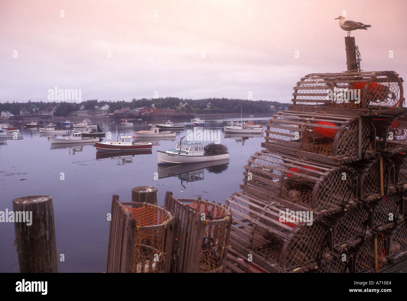 AJ0126, Bass Harbor, Mount Desert Island, ME, Maine Stock Photo