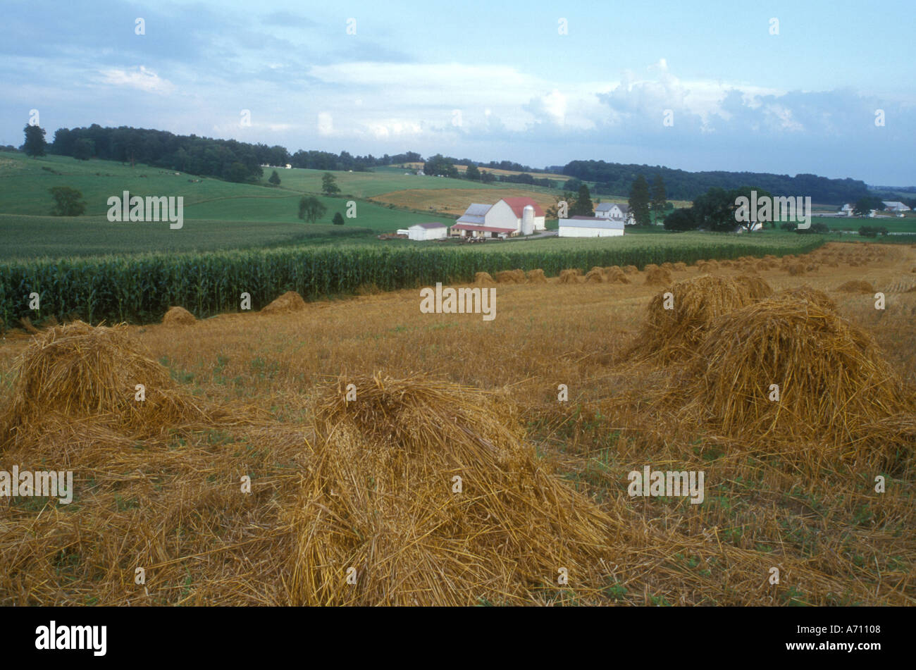 AJ0162, Holmes County, OH, Ohio Stock Photo Alamy