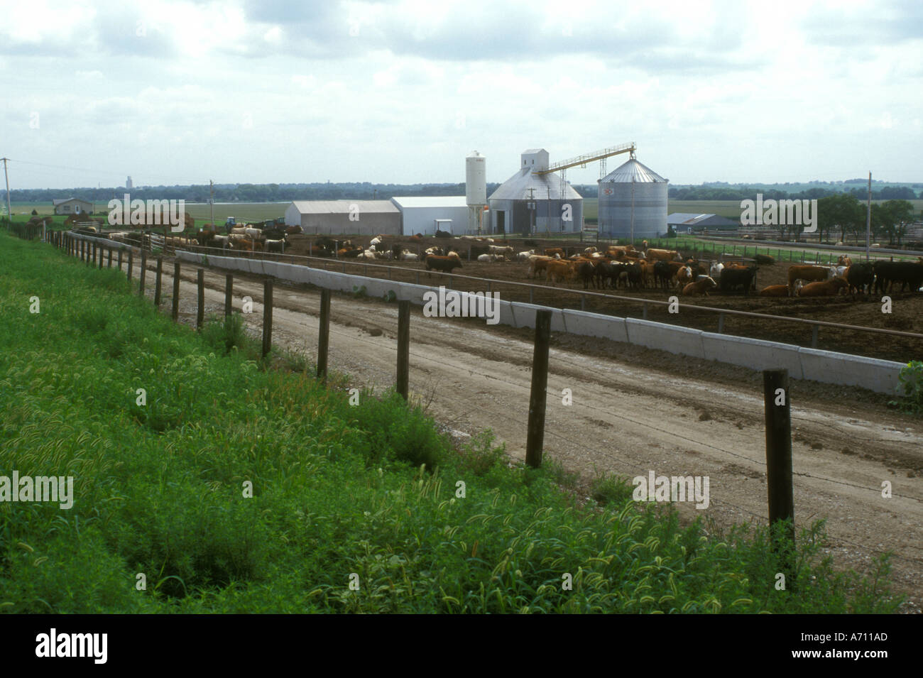 Nebraska beef cattle hires stock photography and images Alamy