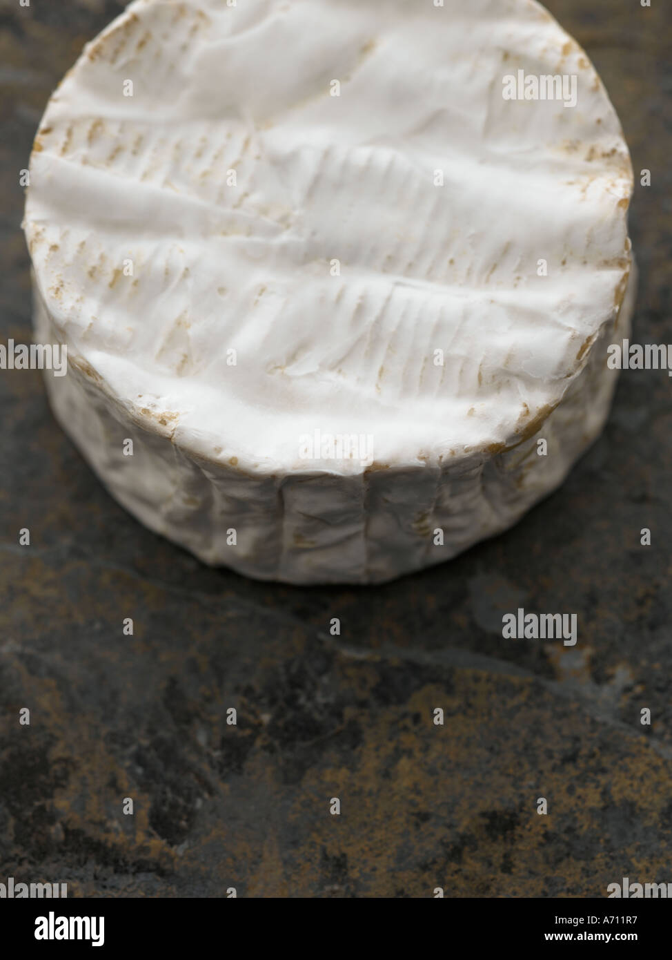 Whole camembert cheese round - high end Hasselblad 61mb digital image Stock Photo