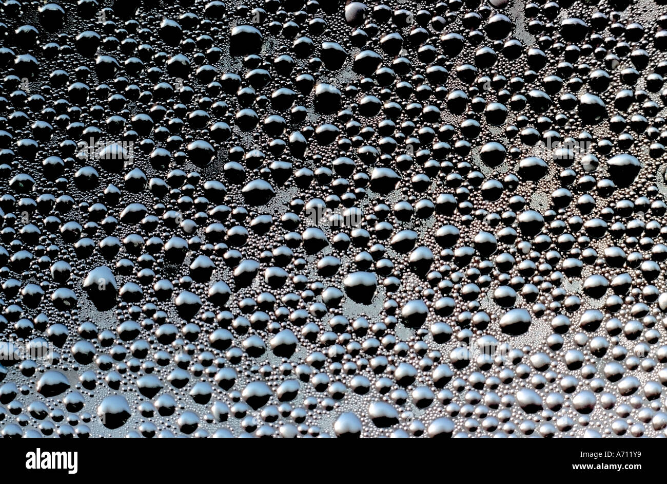 Water droplets condensed on a window Stock Photo - Alamy
