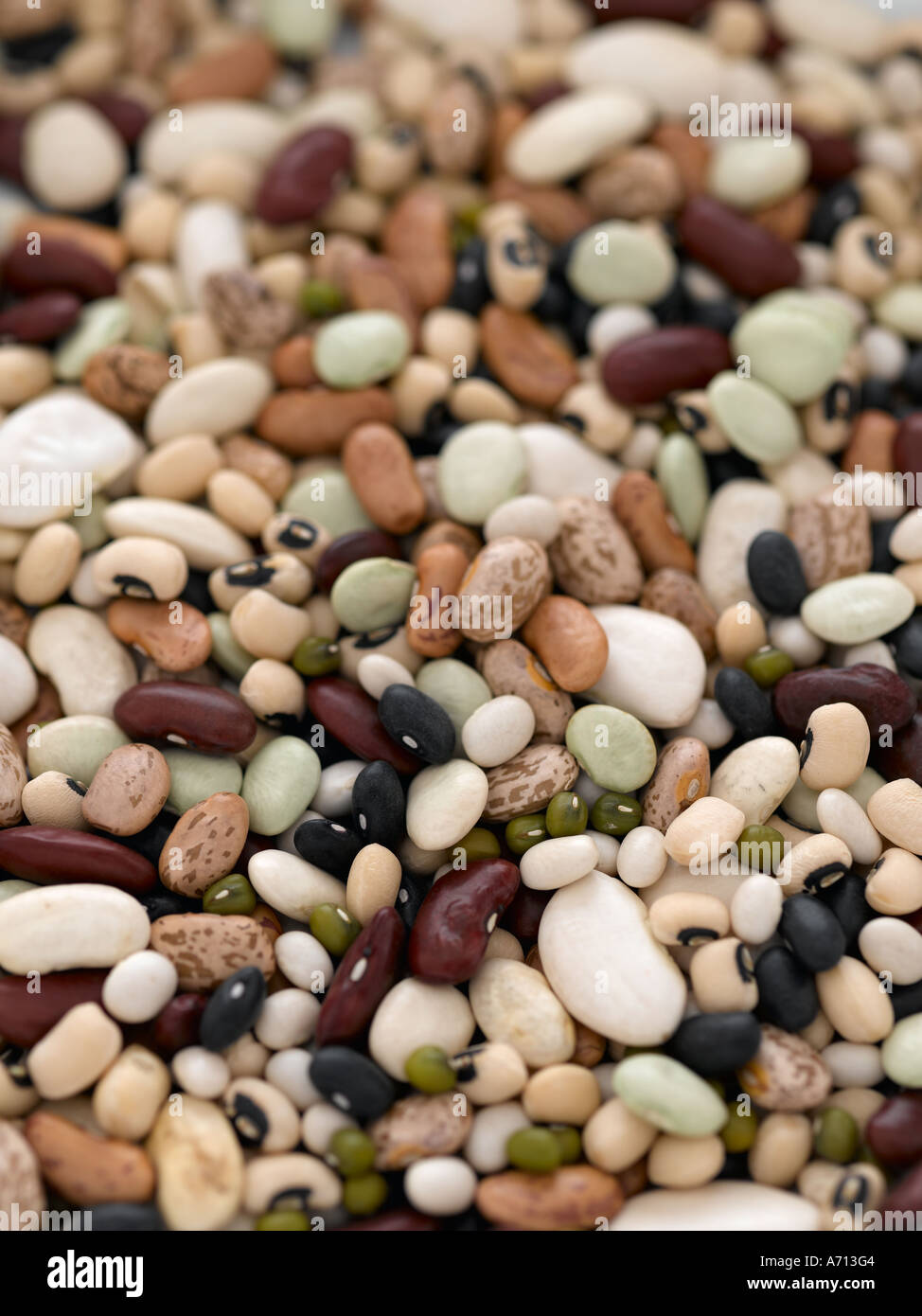Mixed beans - high end Hasselblad 61mb digital image Stock Photo