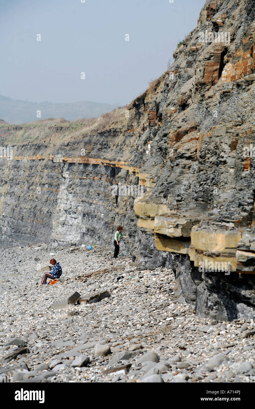 Kimmeridge Jurassic Shale Beds in sea cliff Stock Photo Alamy