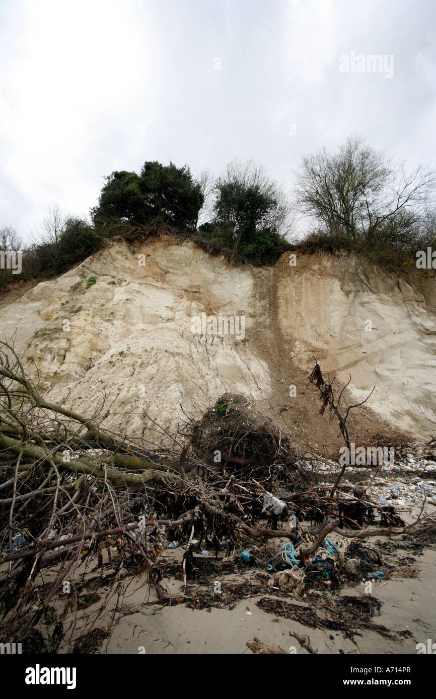 Sea Cliff Erosion South Beach Studland Dorset England Stock Photo