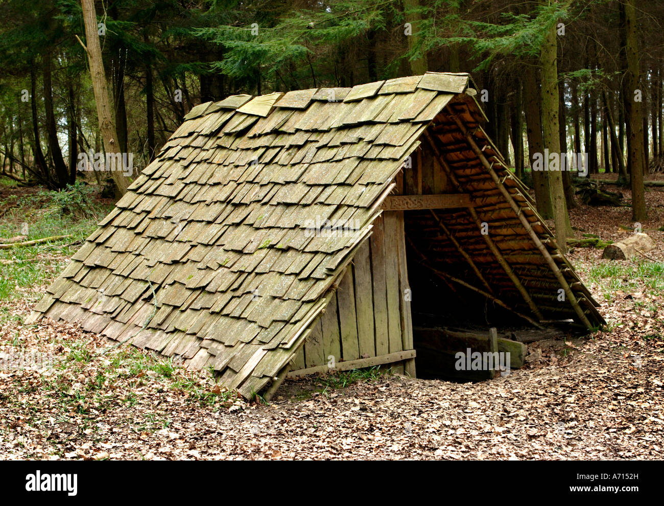 Reconstructed Saxon tiled Building Stock Photo Alamy