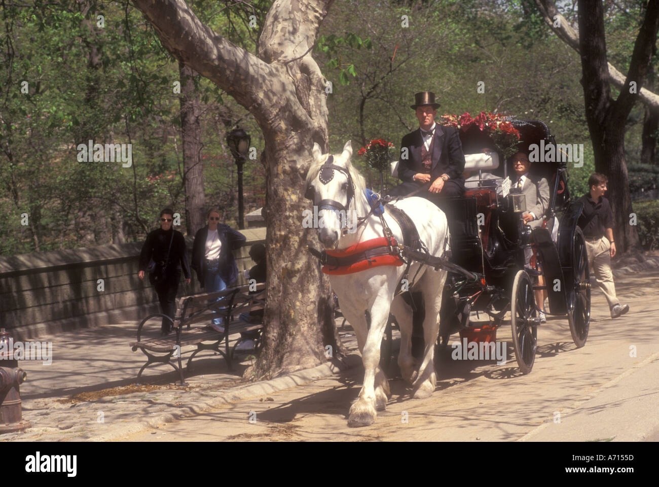 New york city horse drawn hi-res stock photography and images - Alamy