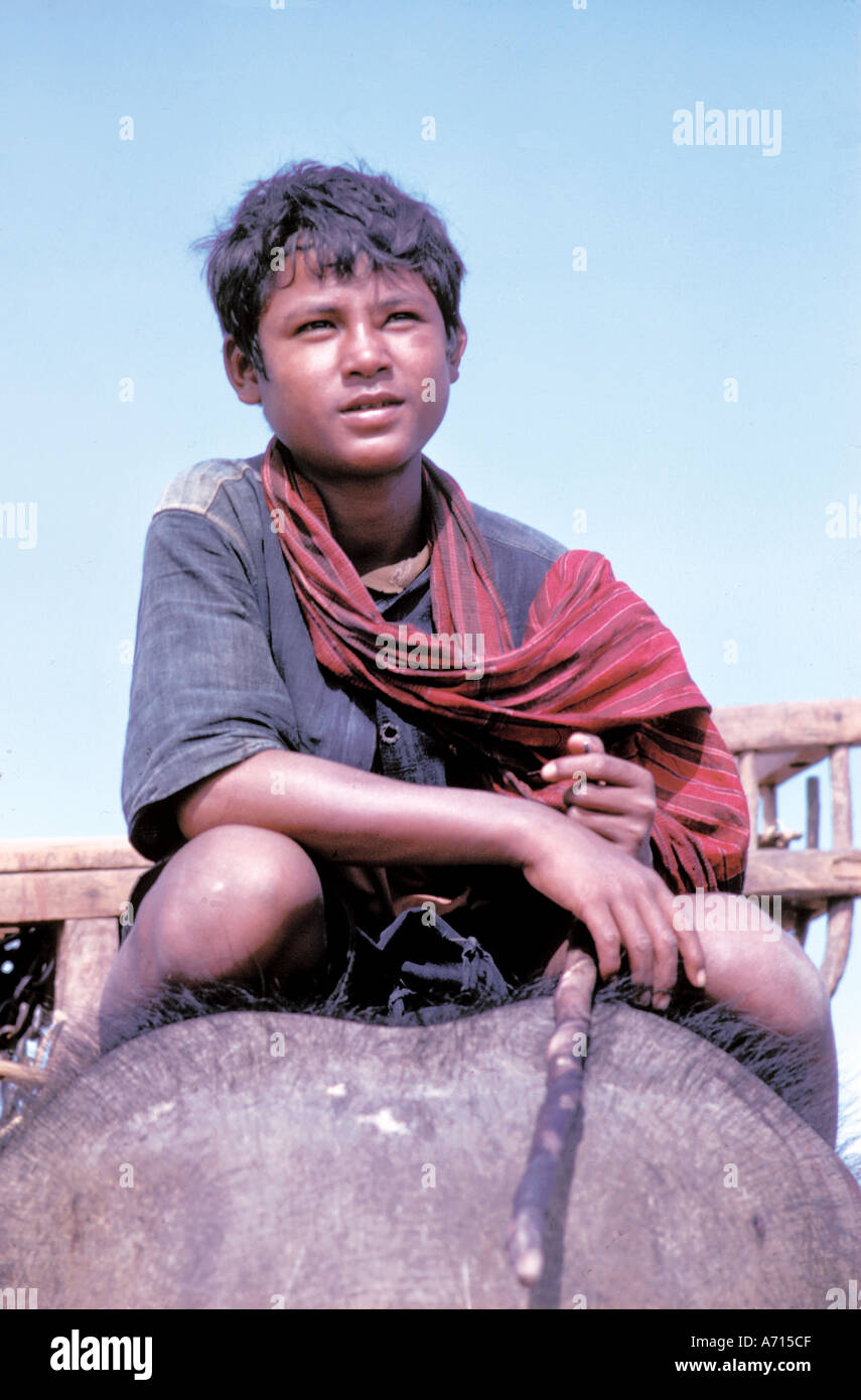 BUDDHISM A Suay boy mahout in Surin Thailand, 1969 Stock Photo