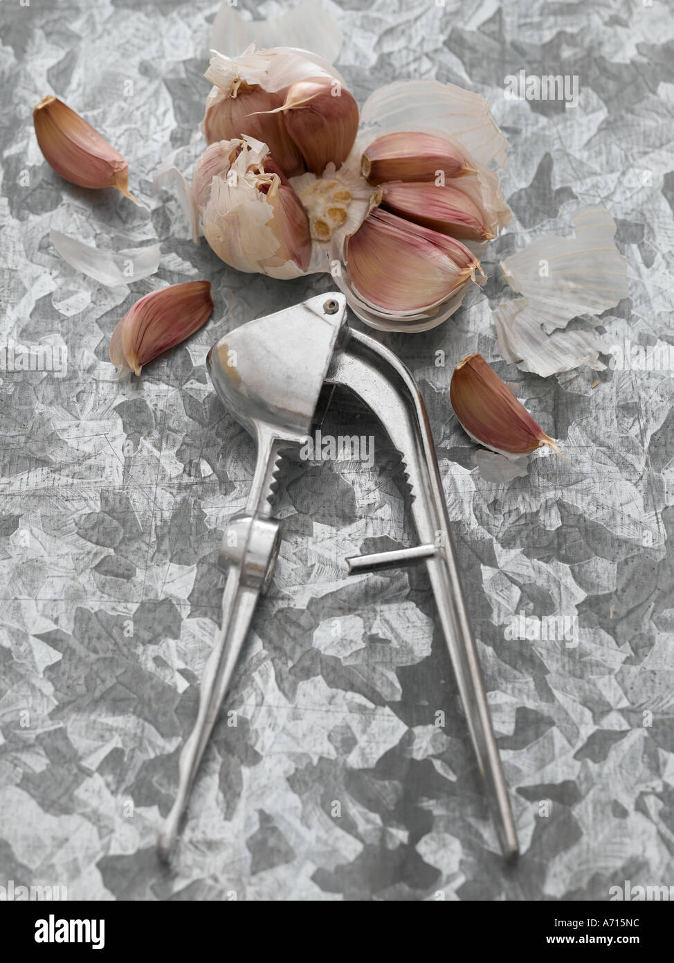 Garlic - high end Hasselblad 61mb digital image Stock Photo