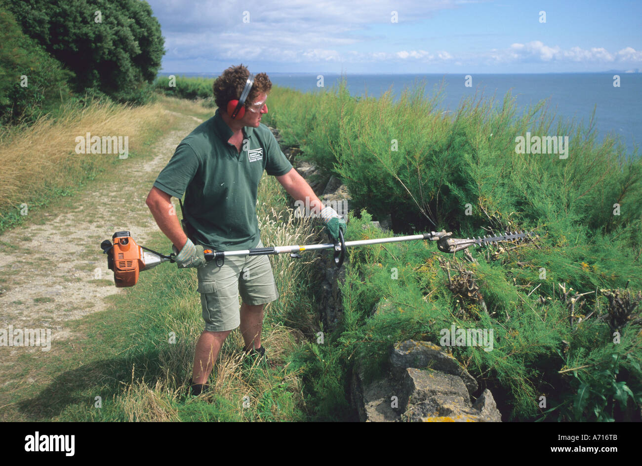 Dorset Ranger Strimming uk hi-res stock photography and images - Alamy