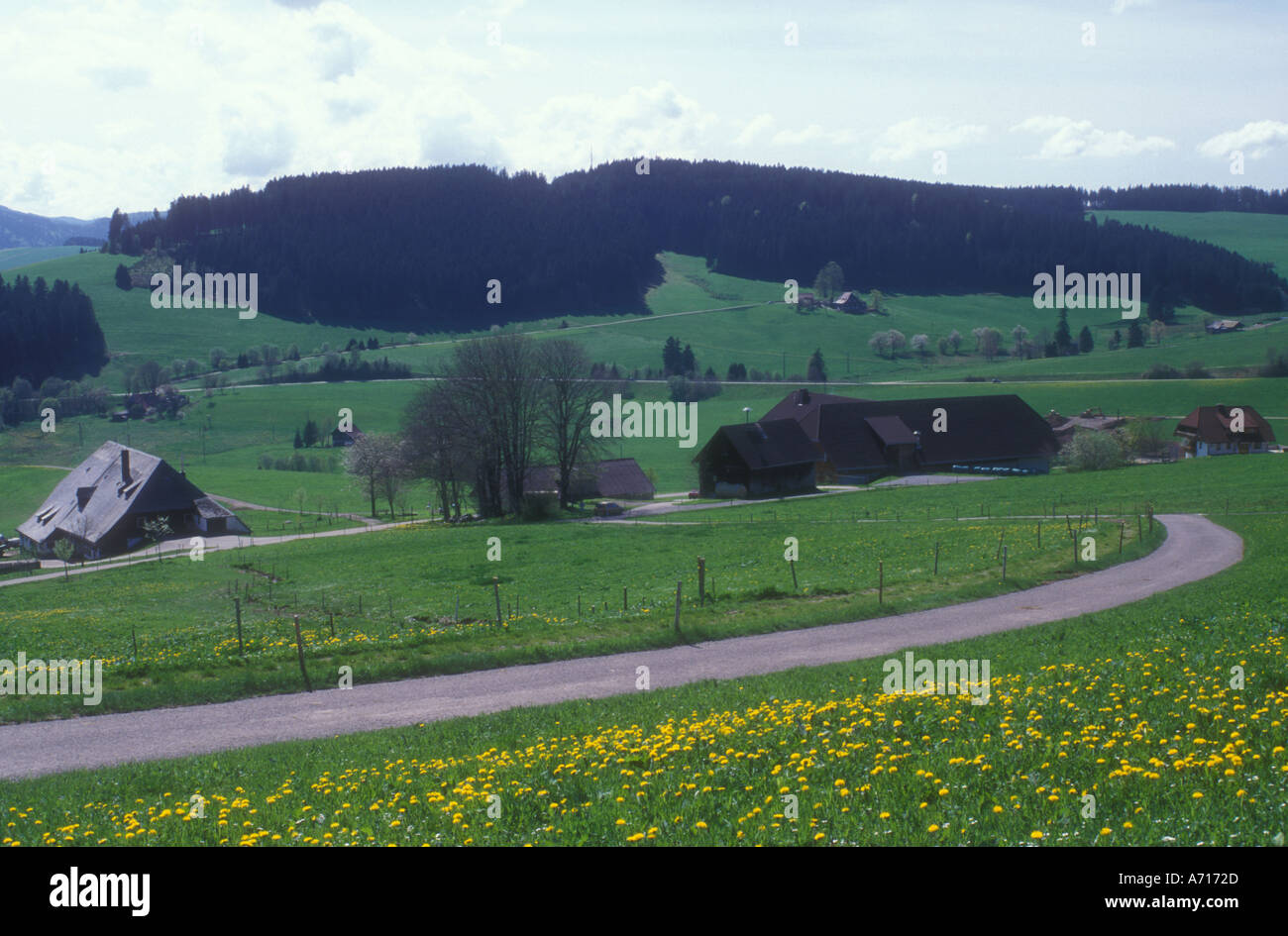 View in black forest hi-res stock photography and images - Alamy