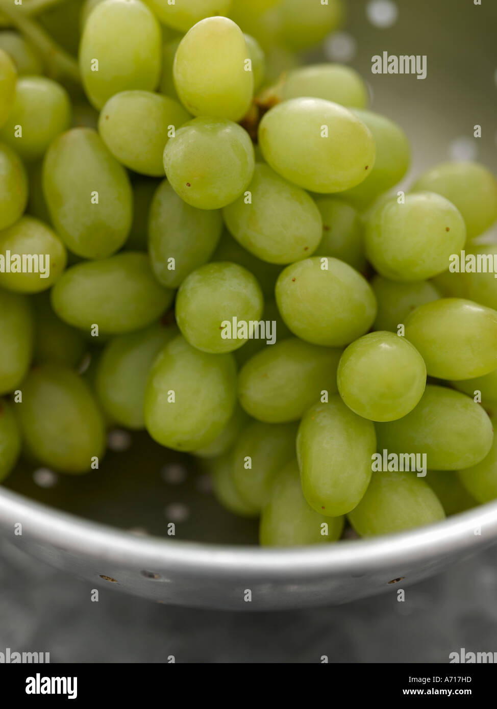 White grapes - high end Hasselblad 61mb digital image Stock Photo