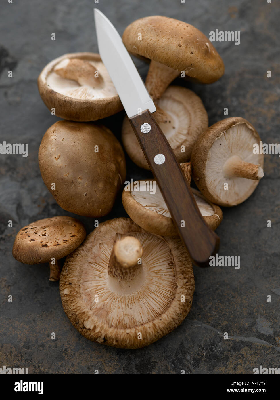 Shitake mushrooms on slate - high end Hasselblad 61mb digital image Stock Photo