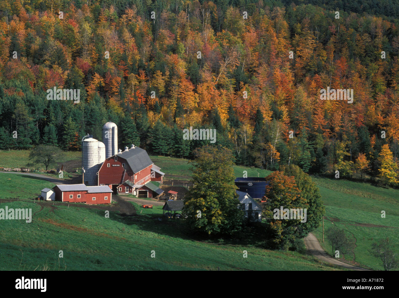 Dairy farm vermont autumn hi-res stock photography and images - Alamy
