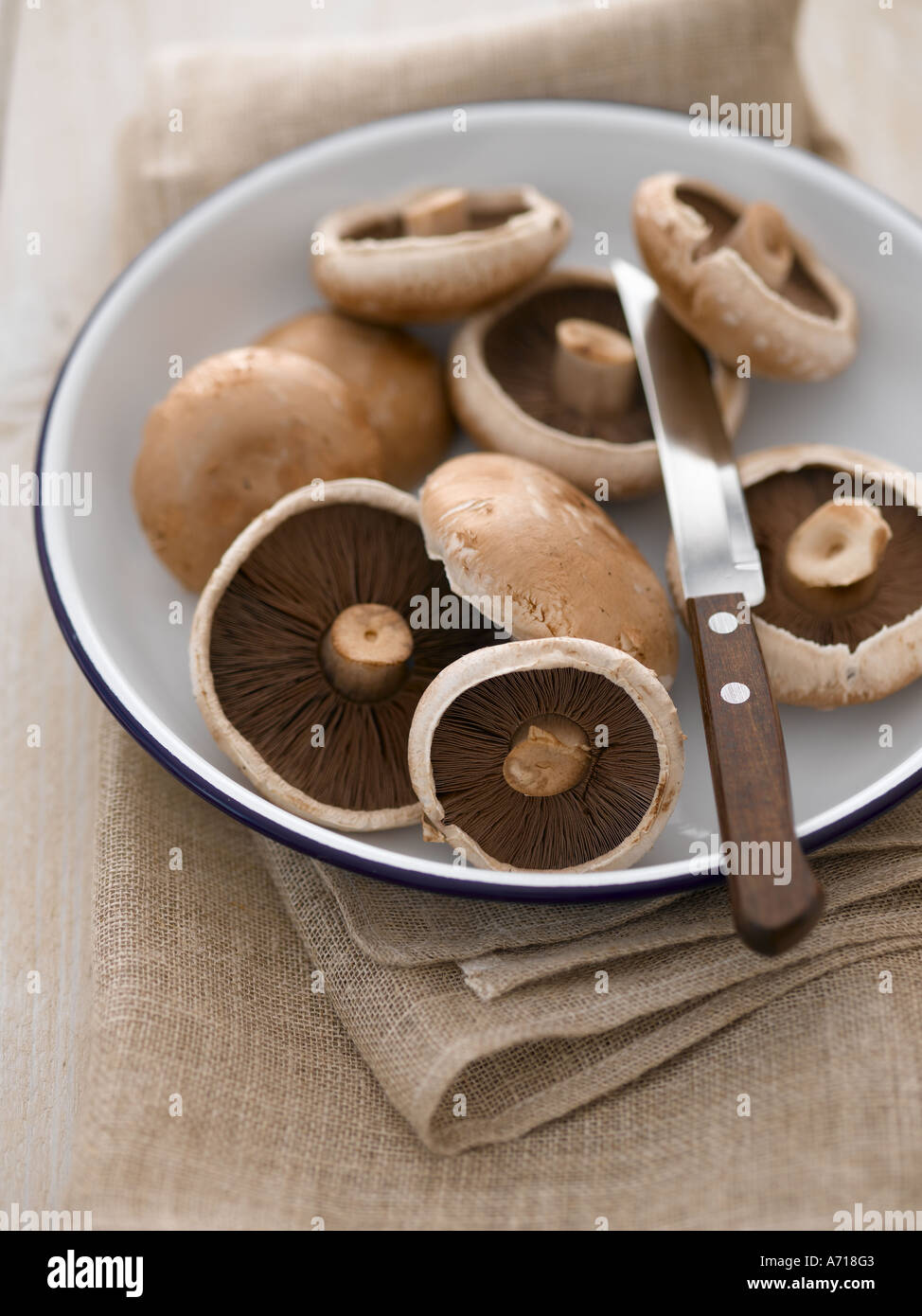 Portobello mushrooms - high end Hasselblad 61mb digital image Stock Photo