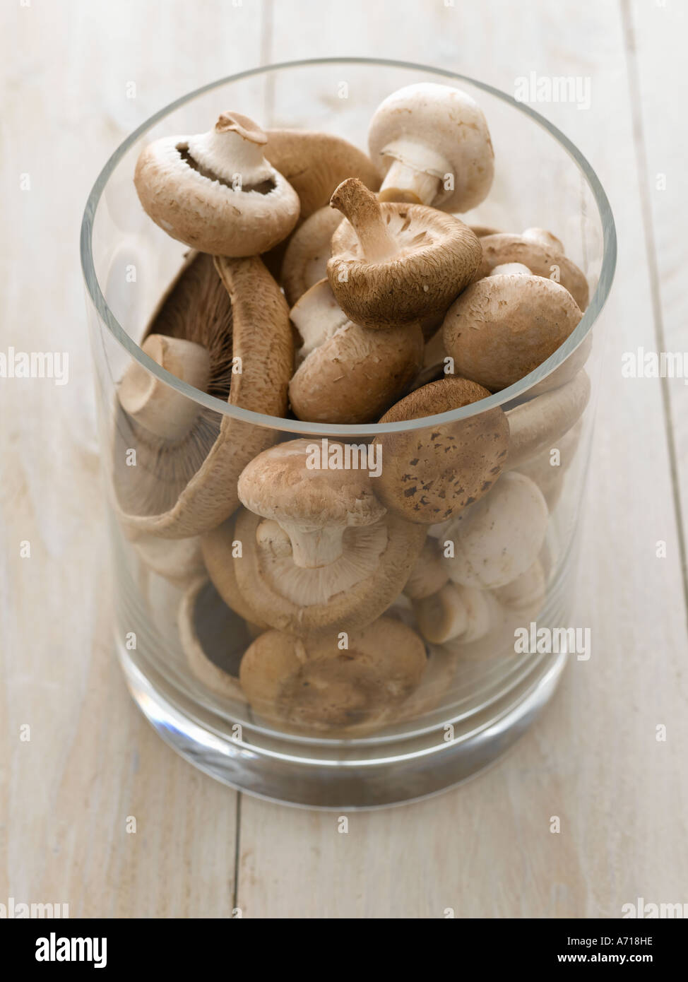 Mixed mushrooms - high end Hasselblad 61mb digital image Stock Photo