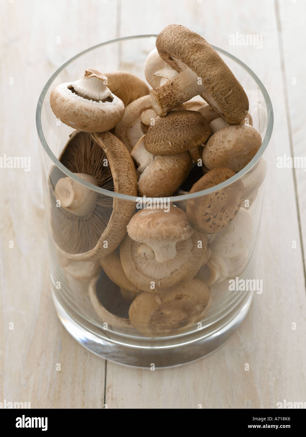 Mixed fresh mushrooms - high end Hasselblad 61mb digital image Stock Photo