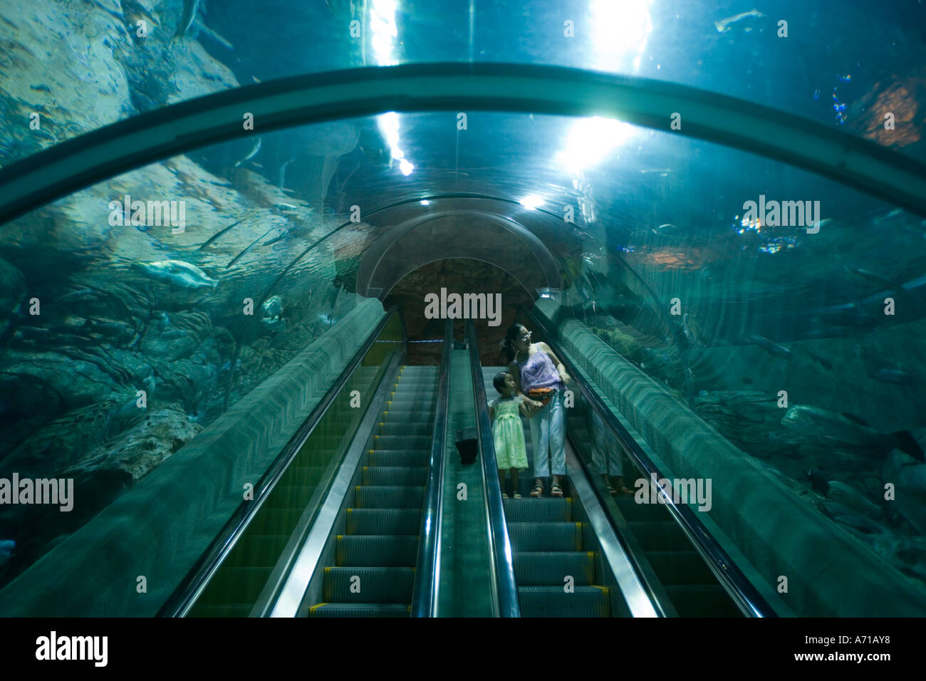 Asia China Shanghai Visitors take escalator down through glass tunnel Stock Photo 6680887 Alamy