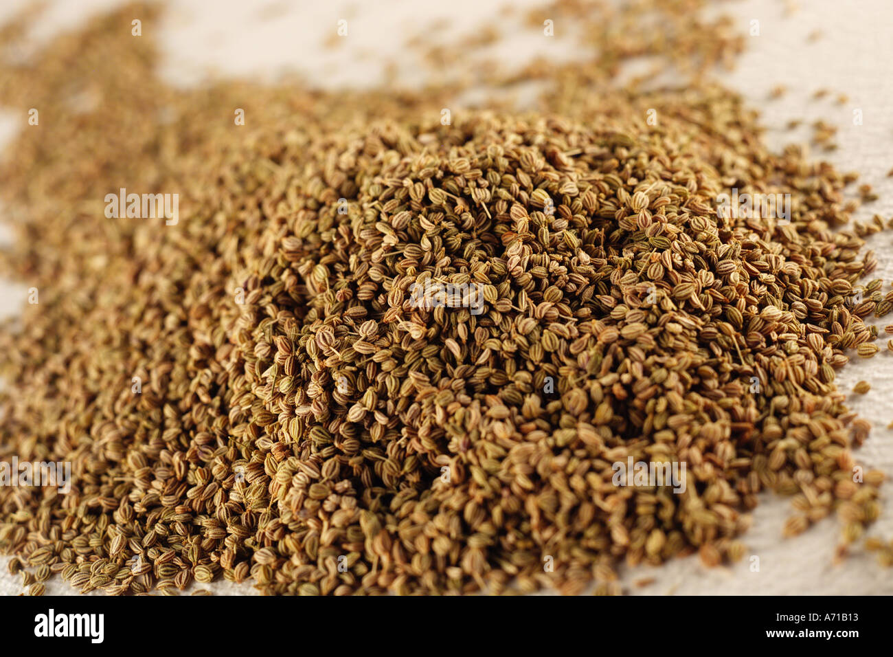 Ajwain hires stock photography and images Alamy