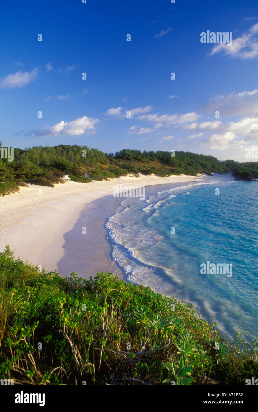 Overview of Horseshoe Bay in Bermuda Stock Photo Alamy