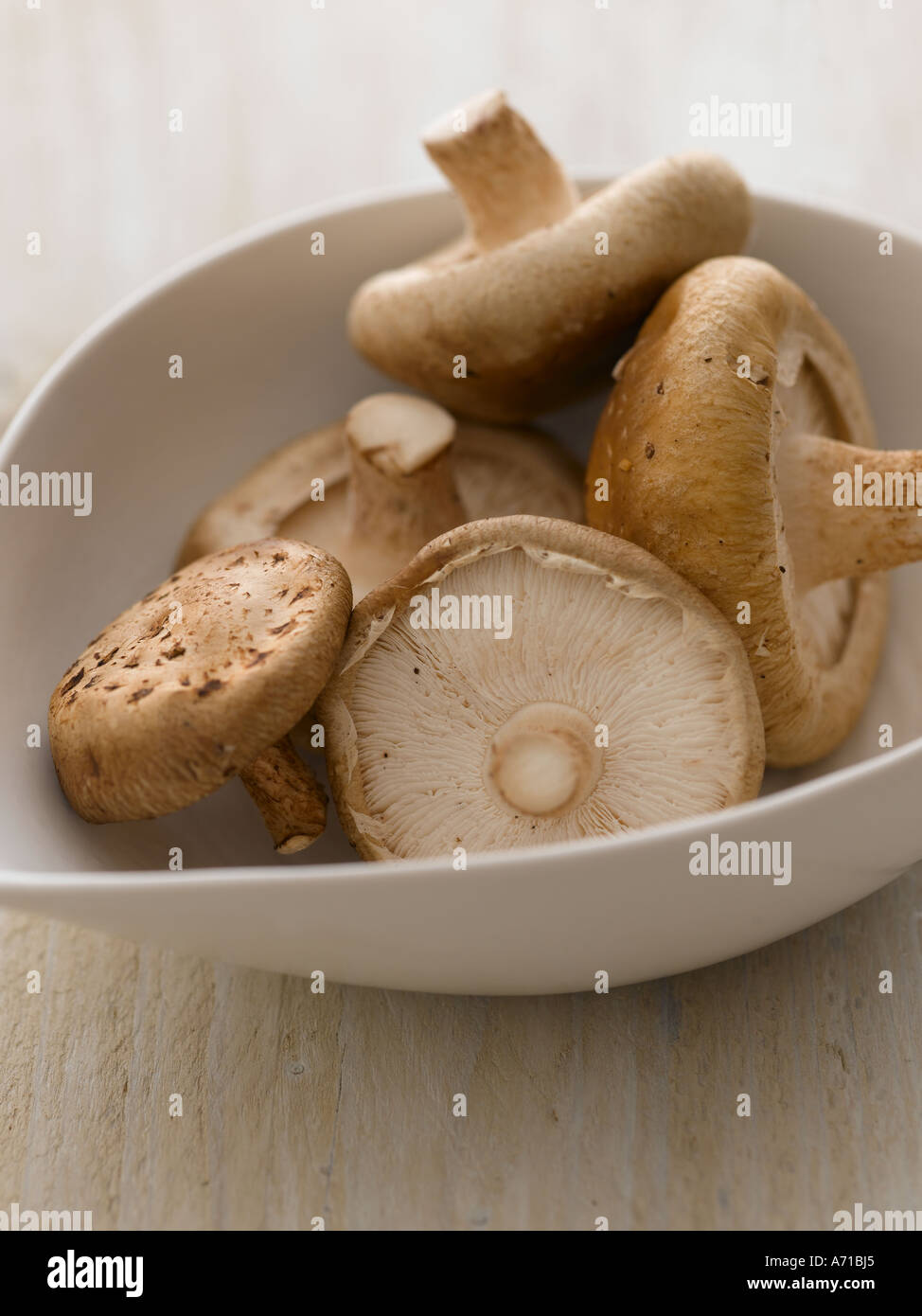Shitake mushrooms in white bowl on pale wood - high end Hasselblad 61mb digital image Stock Photo