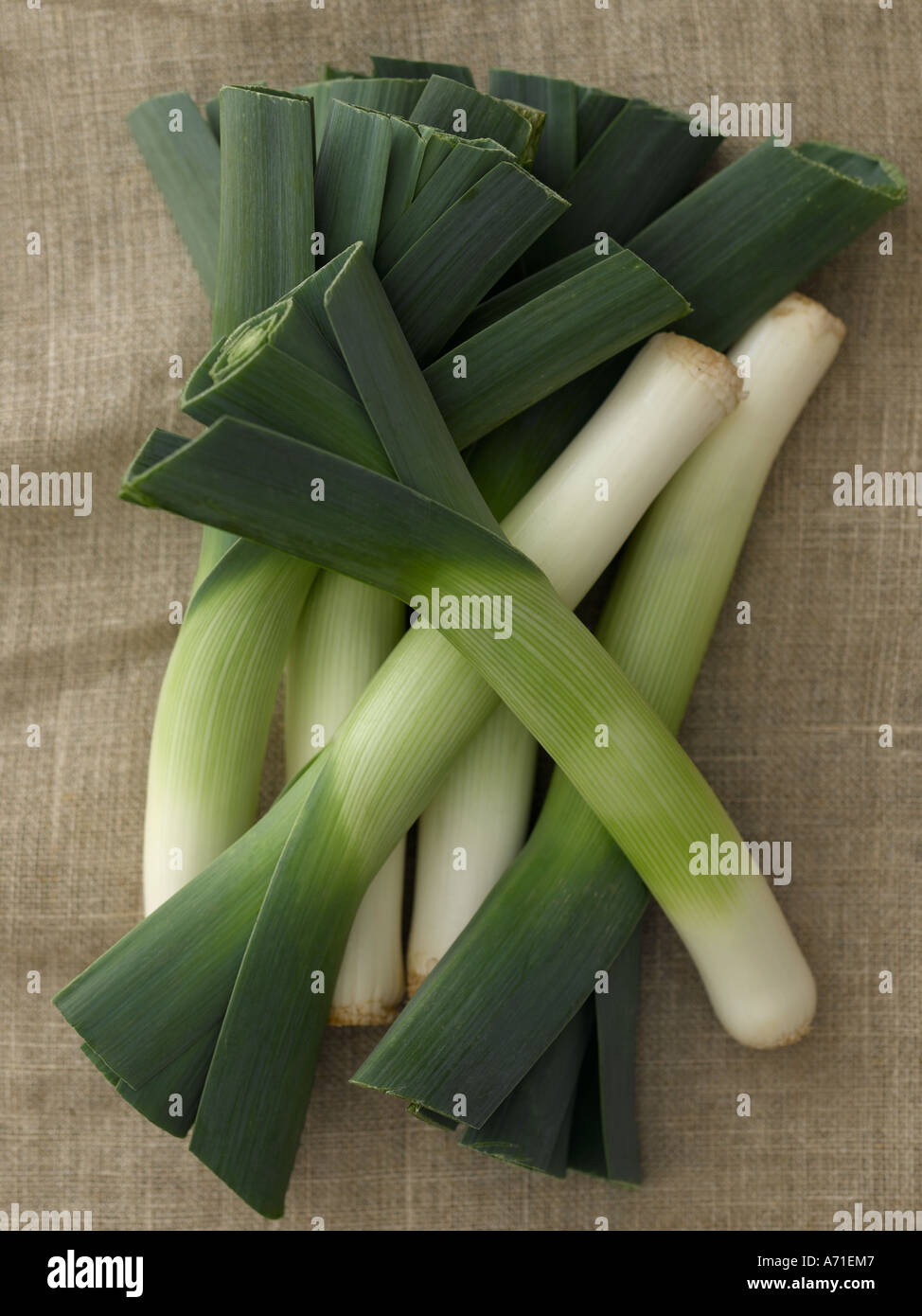 Leeks shot with Hasselblad medium format digital Stock Photo