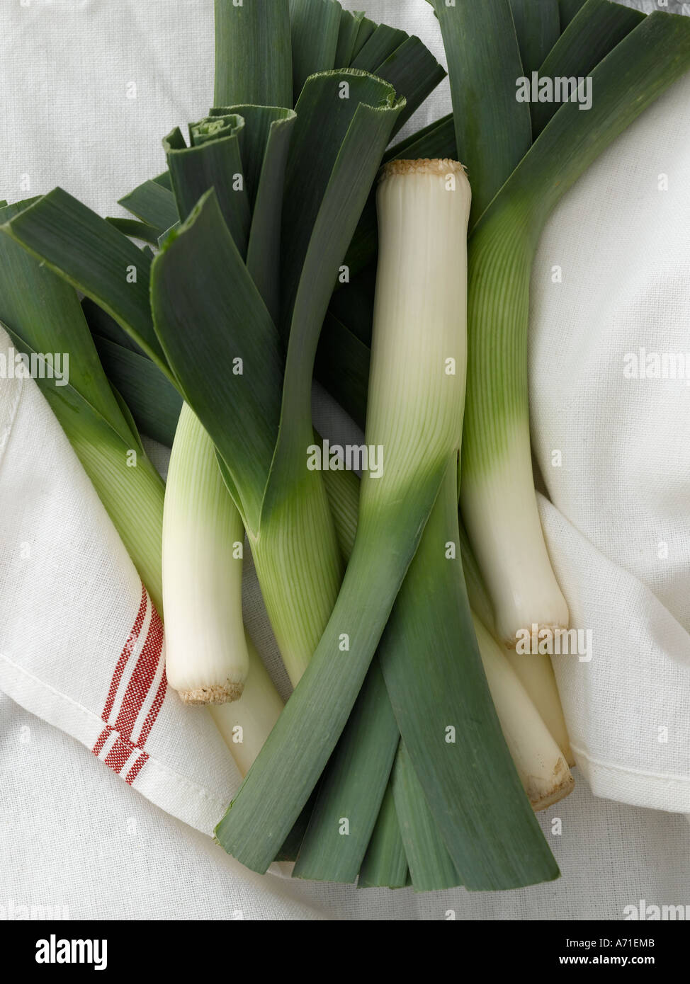 Leeks shot with Hasselblad medium format digital Stock Photo