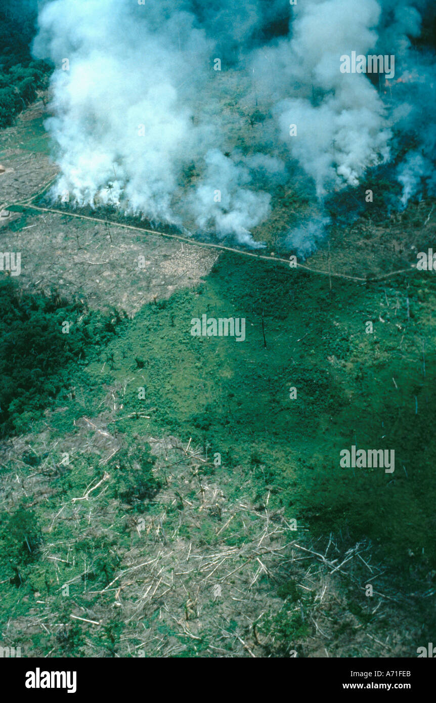Burning rainforest to clear land for cattle ranching Brazil Stock Photo