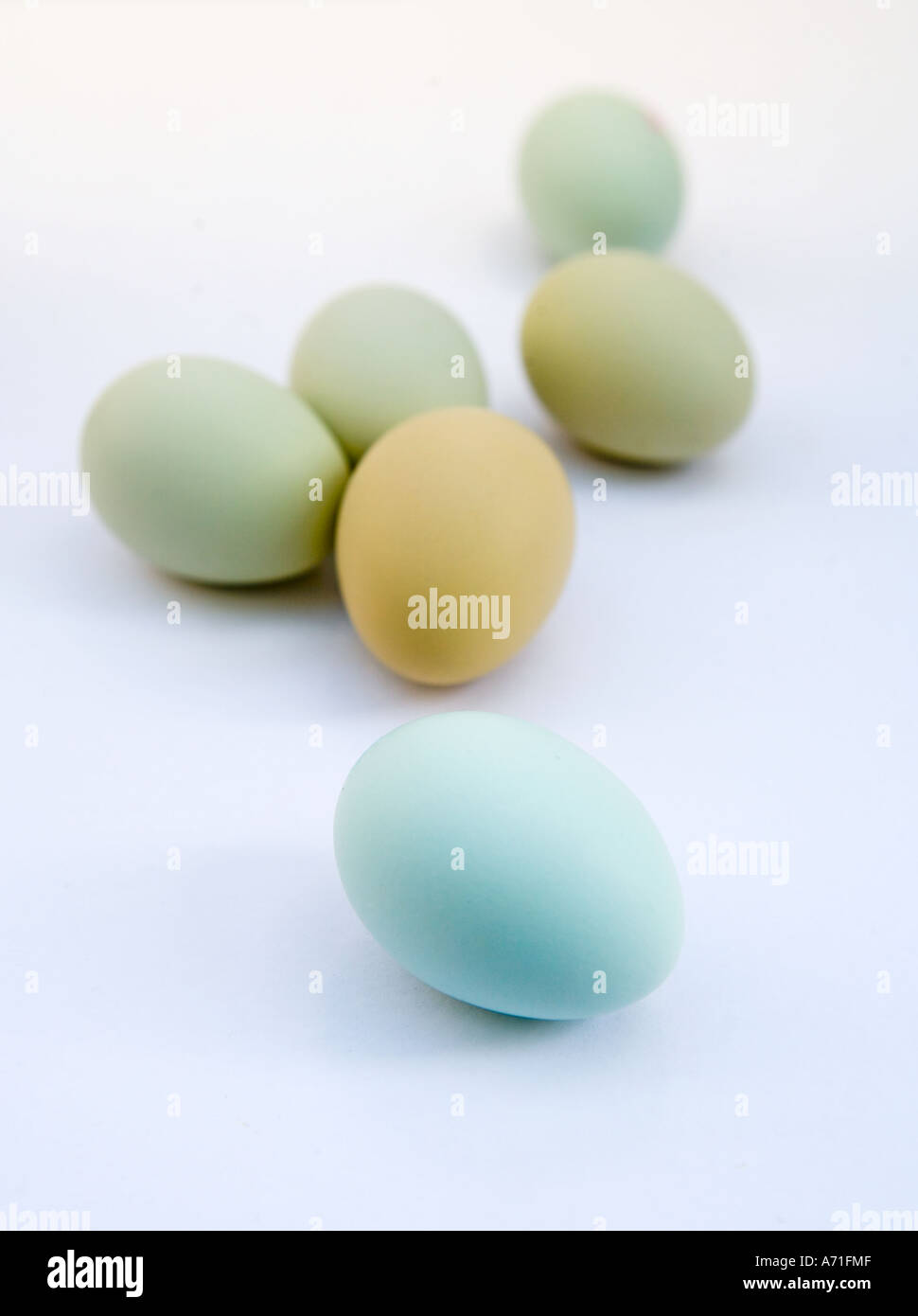 Pastel coloured eggs on white background Stock Photo Alamy