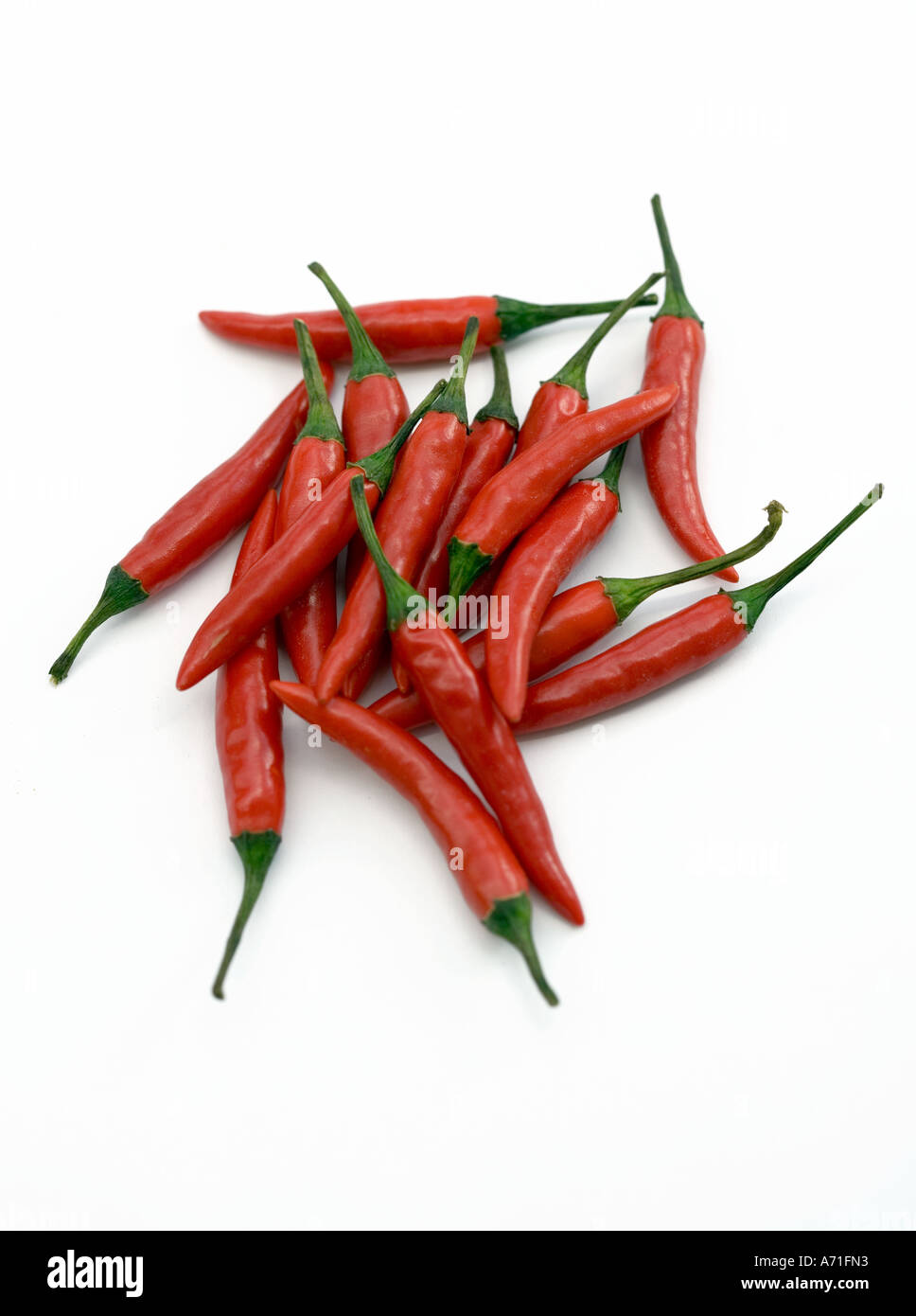 Red Chilli peppers shot on a white background Stock Photo - Alamy