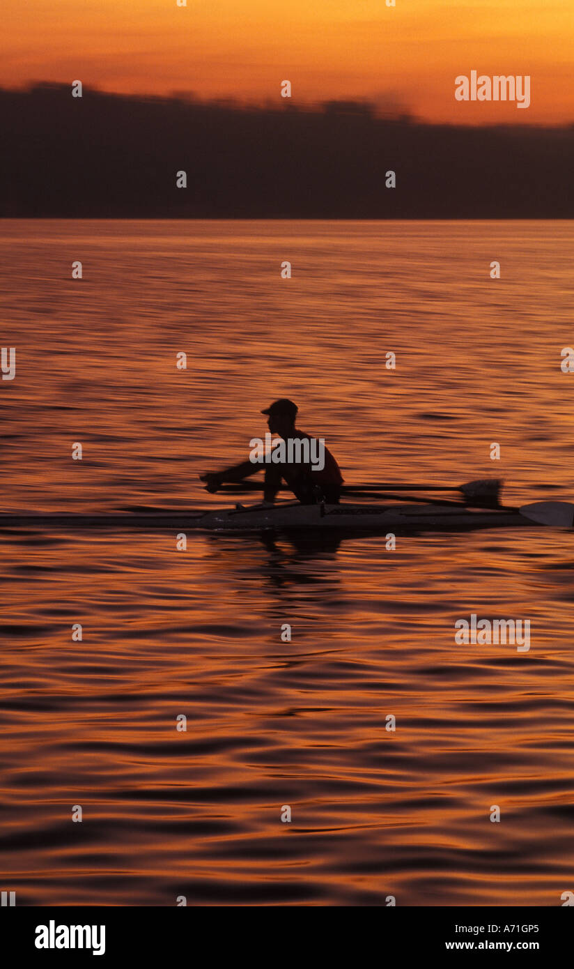 Dawn shell hi-res stock photography and images - Alamy