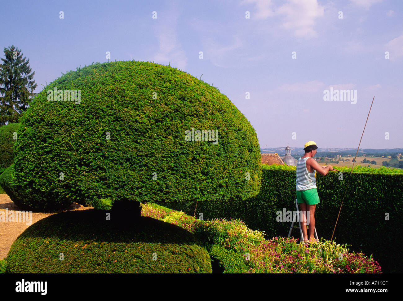 France Dordogne Valley Chateau de Hautefort Gardner Clipping Hedge in Topiary Garden Europe Stock Photo