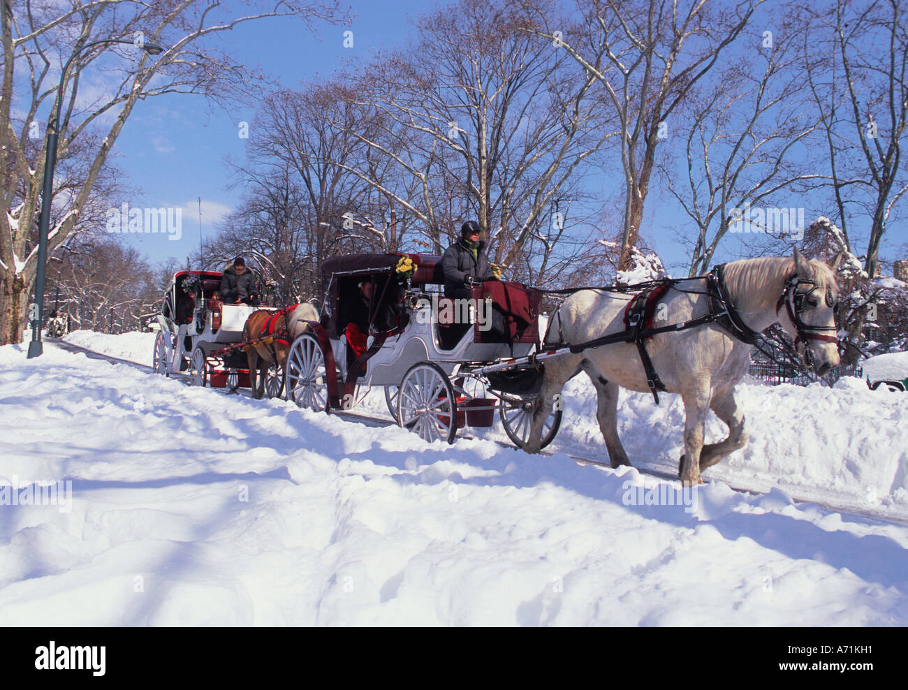 New York City Manhattan Central Park Horse and Carriage Ride in the