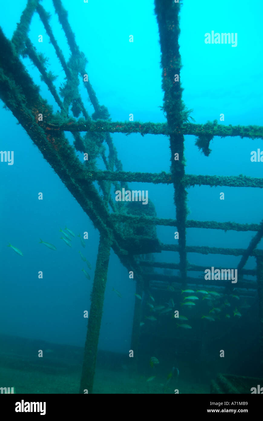 The Fang Ming wreck in the sea of Cortez Stock Photo