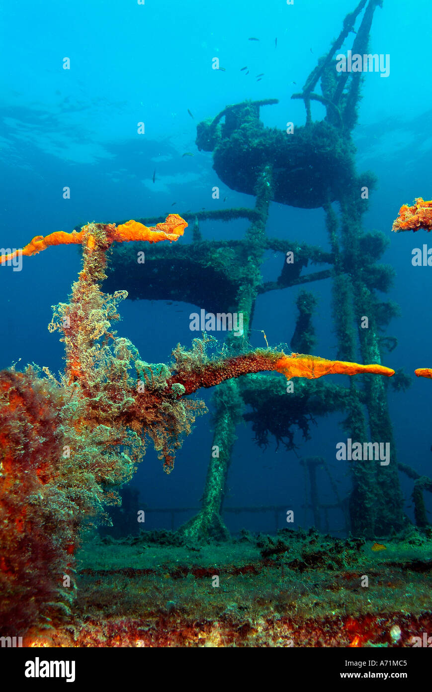 The Fang Ming wreck in the sea of Cortez Stock Photo