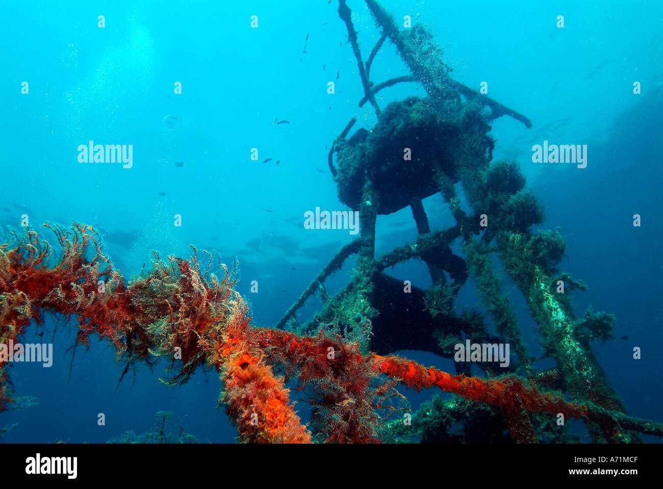 The Fang Ming wreck in the sea of Cortez Stock Photo