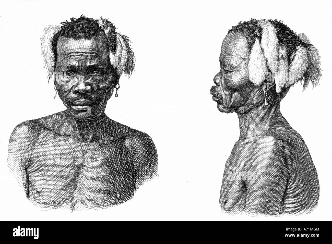 geography / travel, Australia, people, Native Aborigines, man, portrait and profil, engraving, 19th century, historic, historical, Oceania, earring, head trapping, Indigenous Australian, men, male, Stock Photo