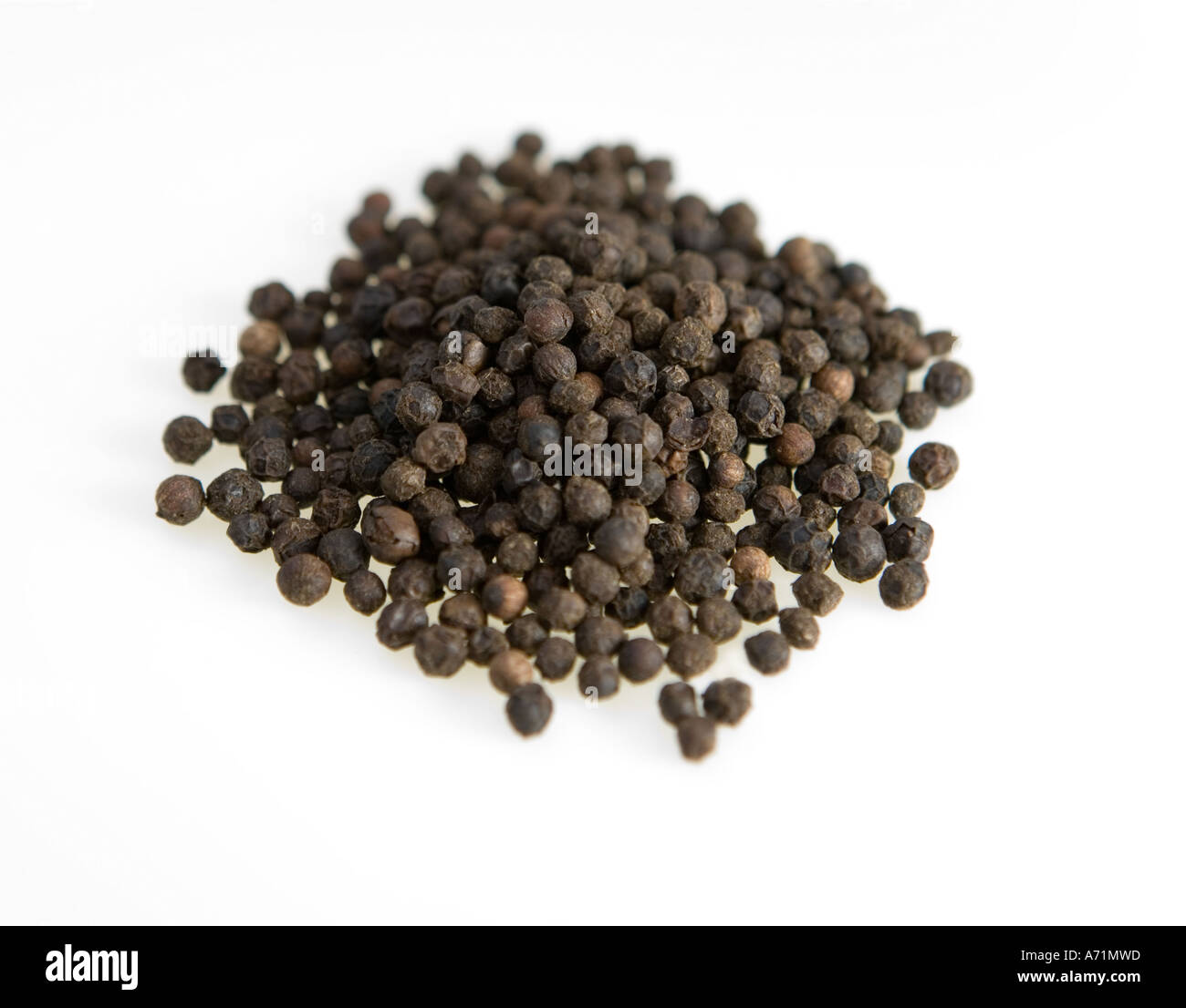 Black Peppercorn Stock Photo