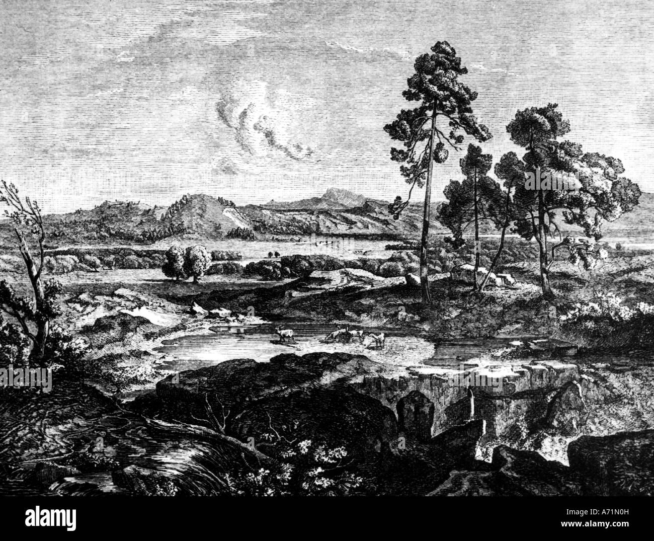 geography / travel, greece, Olympia, lowlands of Olympia in 19th ...