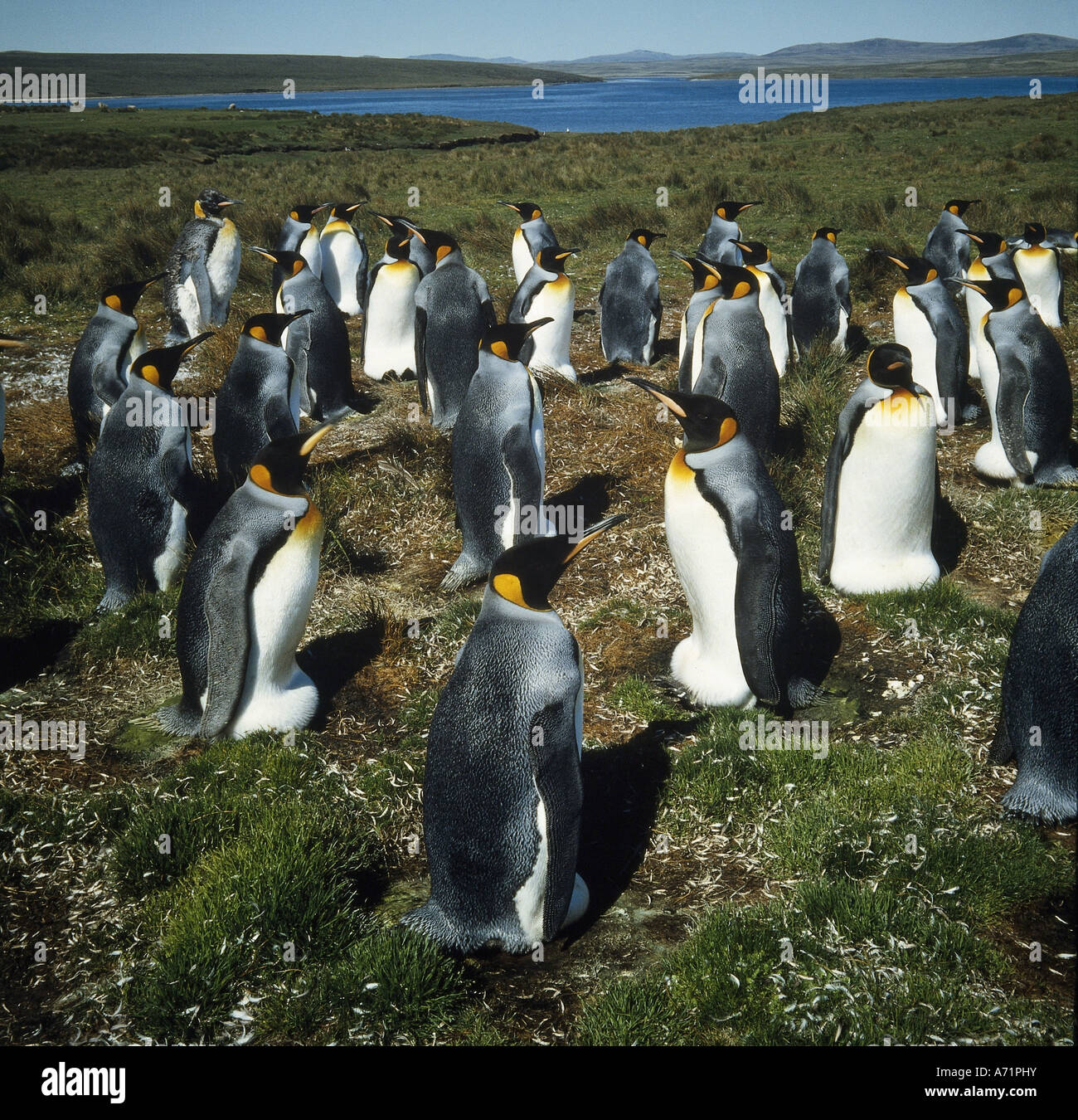 My Image 32