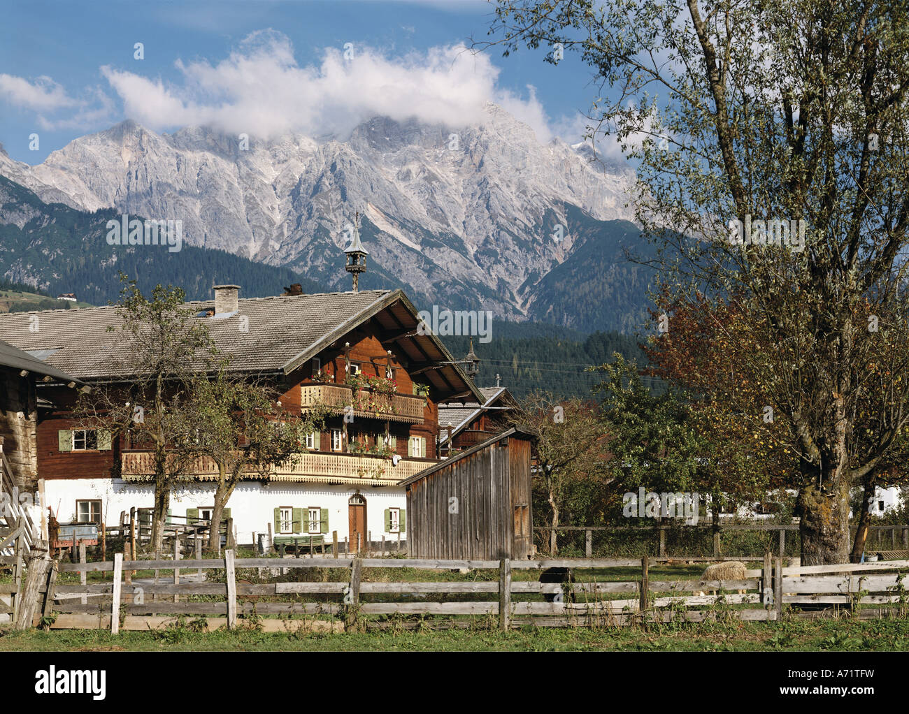 architecture, farm houses, Austria, Salzburg, farm in alp village, exterior view, Pinzgau, Europe, wooden fence, mountain, mount Stock Photo