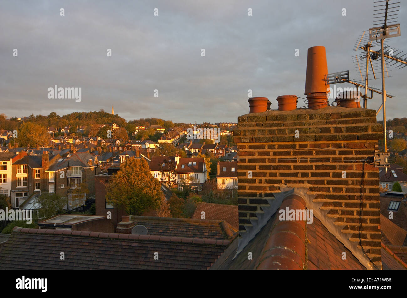 Evening sunlight on chimneys and rooftops of suburbia in Muswell Hill London N10 England  Stock Photo